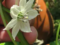 IMG_8570_1024x768.webp