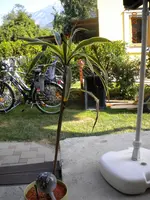 DSCN0301.webp