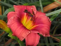 IMG_gorden briggs2_1024x768.webp