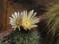 Bild 178.webp