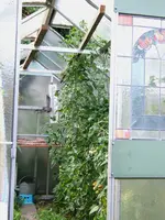 Bild 180.webp
