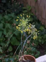 Bild 183.webp