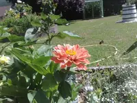 18072010999.webp