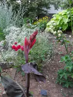 SDC10032.webp