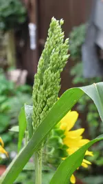 040.webp