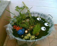 der Teich mit Deko 2.webp