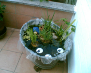 der Teich mit Deko.webp