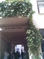 Bild156.webp