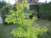 K800_IMG_0181.webp