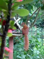 SDC11789.webp