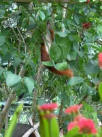 SDC11790.webp