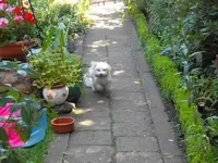 SDC11860.webp