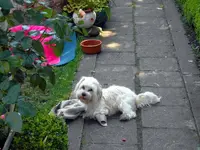 SDC11861.webp
