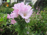 Bild 001.webp
