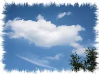 IMG_2676.webp