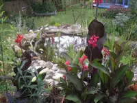 23.07.2010 003.webp