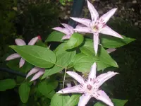 23.07.2010 004.webp
