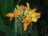 23.07.2010 005.webp