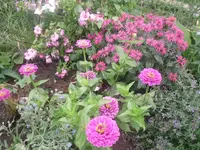 23.07.2010 007.webp