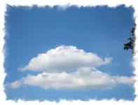 IMG_2678.webp