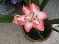 IMG_4213.webp