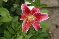 DSC03559.webp