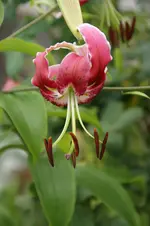 DSC03560.webp