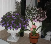 IMG_4228.webp