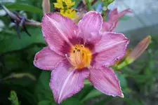 20100722 002.webp