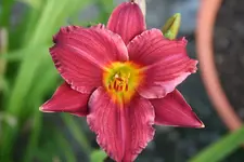 20100722 004.webp