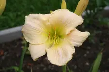 Test 001.webp