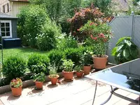 DSCF3786.webp