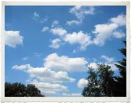 IMG_2685.webp