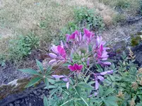 DSC00191.webp
