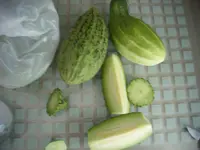 DSCI0009.webp