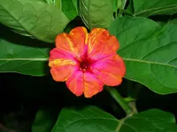 DSCI1089.webp