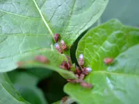 003.webp