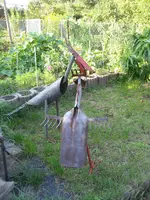 IMG_1973.webp