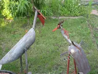 IMG_1977.webp