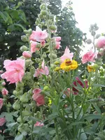 IMG_1997.webp