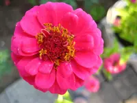 IMG_1967.webp