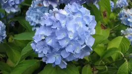 022.webp