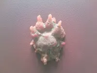 Pfotenabdruck Bonnie.webp