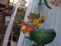 HPIM5170.webp