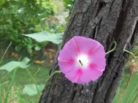 HPIM5156.webp