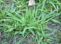 DSCI0879.webp