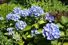 IMG_2179 - Kopie.webp