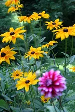 IMG_2181 - Kopie.webp