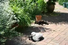 IMG_2186 - Kopie.webp