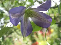 025.webp